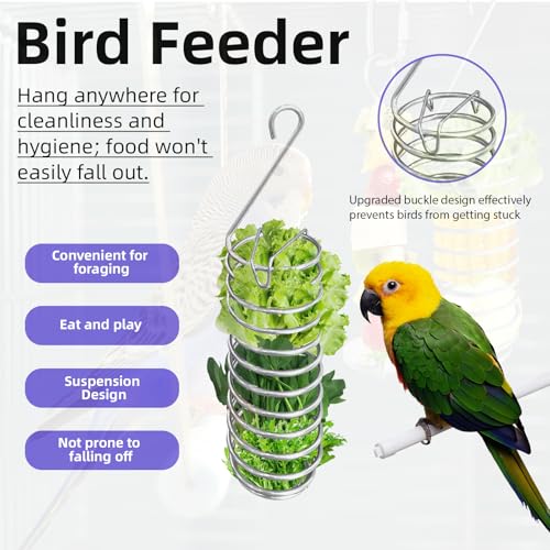 6Pcs Rat Enrichment Toys, Stainless Steel Rat Foraging Toy | Fruit Vegetable Holder, Bird Food Holder, Hanging Slow Feeder Clip, for Parrot Bird Rodents