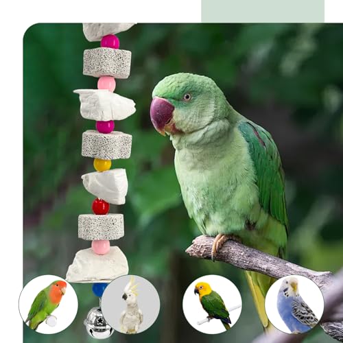 Parakeet Toys 2 Pack with Cuttlebone and Bell | Natural beak grinding stone, calcium supplement for bone health, for budgies, cockatiels, lovebirds, small to medium birds.