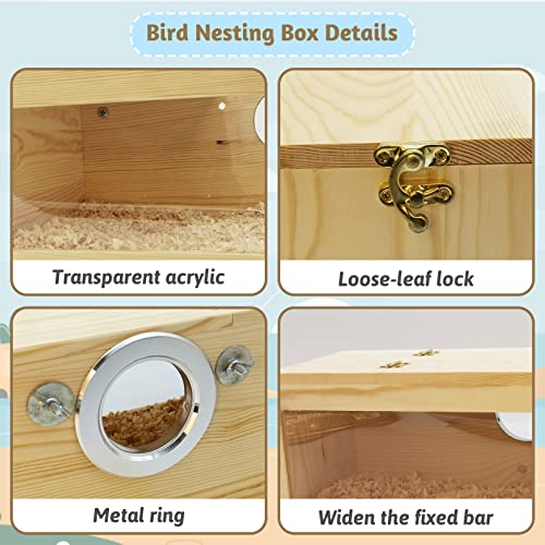 Fhiny Parakeet Nesting Box, Wooden Bird Breeding Box for Cage with Perch Transparent Acrylic Parakeet Nest for Lovebirds Budgies Conures Finches Small and Medium - Sized Birds (Medium)