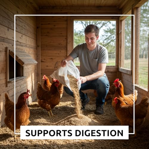 Chicken Sand – 20 lb Resealable Bag – Natural Fresh Water Sand for Coops and Dust Baths – Helps Maintain a Dry, Clean Environment and Supports Digestion