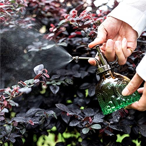 Glass Plant Mister Spray Bottle 200ML Watering Bottle with Top Pump Watering Can for Indoor Outdoor House Plants,Flowers (Brown-Green)