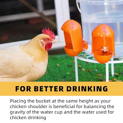 Large Automatic Chicken Water Cups w/Anti-Dirt Cover for Poultry -5 Pack | Large cups; w/ Anti-Dirt Cover