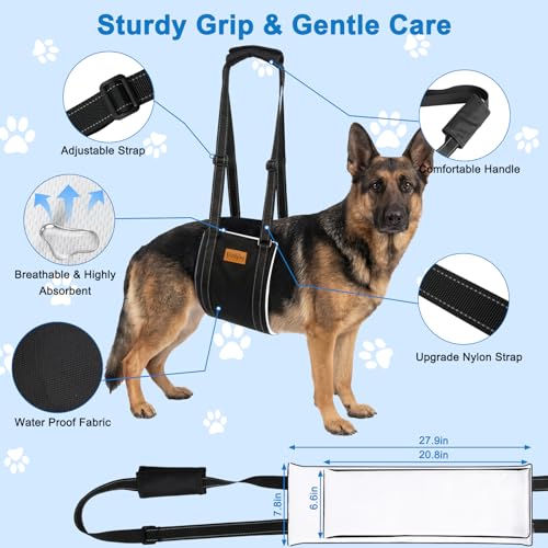 Vivifying Dog Lift Harness for Large Dogs, Soft Bird's-Eye Rear Leg Support Sling, Dog Lifting Harness for Weak Back Legs, Senior Injured Disabled Dogs, ACL Surgery Mobility Assist, L, White - size: L