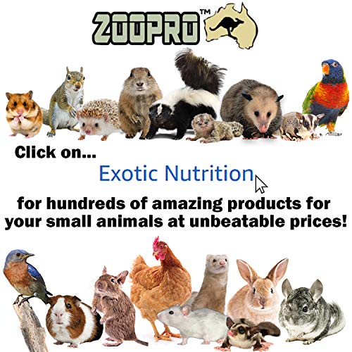 Sisal Rope Ladder - Natural Interactive Climbing Cage Accessory - for Sugar Gliders, Squirrels, Degus, Marmosets, Monkeys, Rats, Parrots, Birds, Hamsters, Gerbils & Other Small Pets