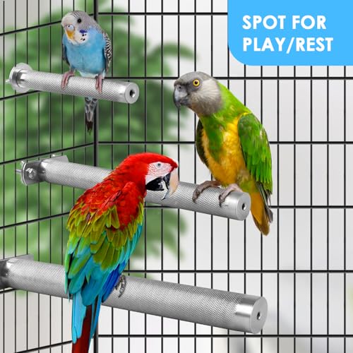 KATUMO Conure Perch - Stainless Steel Bird Stand Rough-surfaced Branch for Small Birds (6 x 0.7 inch) - size: S: 6 x 0.7 inch