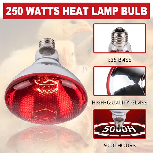 250W Chicken Heat Lamp Bulbs, PAR38 Heat Lamp for Chicks, Infrared Reflector Heat Bulb for Brooder Heater, Incandescent Heat Lamp for Pet, Bathroom, Food (2 Pack)