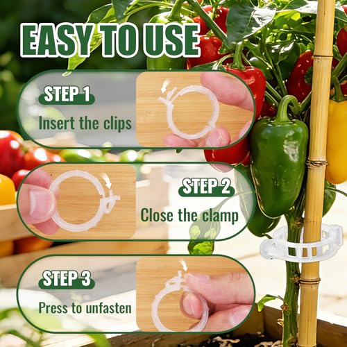 300Pcs Thickened Tomato Clips, Plant Support Clips Plastic Trellis Clips | Plant Clips for Grape Vine, Tomato Vine, Vegetable Plants, to Grow Upright Makes Plants Healthier, White - color: White