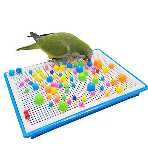 QBLEEV Parrot Puzzle Toys - Bird Intelligence Training, Parakeet & Conure Cage Accessories, Cockatiel Foraging & Chewing Toys - size: Large