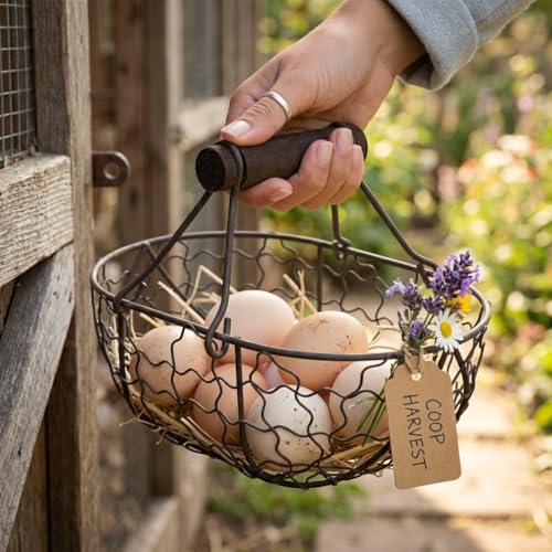 Metal Wire Egg Basket for Gathering Fresh Eggs, 7 inch Rustic Egg Collecting Basket with Wooden Handles, Farmhouse Easter Kitchen Decor, Black Wire (Capacity: 10-12 Eggs)