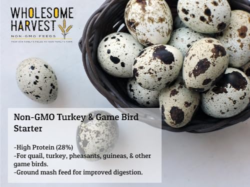 Non-GMO Turkey & Game Bird Starter Feed – 10 lb, 28% Protein, Omega-3, Calcium, Probiotics, Prebiotics & Herbs – Complete Nutrition and Quality Game Bird Feed - size: 10 Pound (Pack of 1)