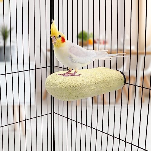 Bird Calcium Teeth Chew Toy Hamster Grinding Stone for Parrot Parakeet Cockatiel Rabbit Chinchilla Squirrel Cage Perch Stand (Random Color) (L) - size: L