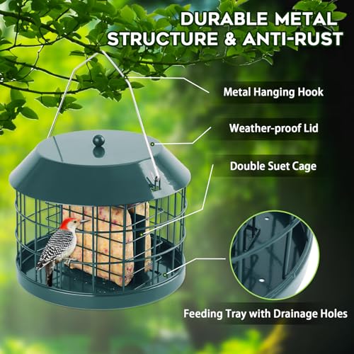 Gbekery Caged Suet Bird Feeder for Outdoors Hanging, Squirrel Proof Double Suet Feeder for Small Birds, Metal Cage with Detachable Hook, Large Space, Outdoors Weatherproof, Green - style: Green Suet Cage