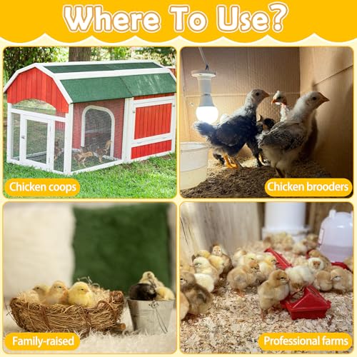2P Wood Chick Perch Stand, Chick Roosting Bar for Brooder with Rope | Update Rope Pole, 100% Natural Material, 9 Roosting Bars, With Holes, Easy to Install, For Professional Farms, Coops & Home