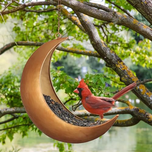 Hanging Moon Bird Feeder – Unique Metal Bird Feeders for Outdoors, Antique Gold, Rust-Resistant, – Wild Bird Feeder for Bluebirds, Cardinals, Finches, and Backyard Birdwatching - color: Antique Gold