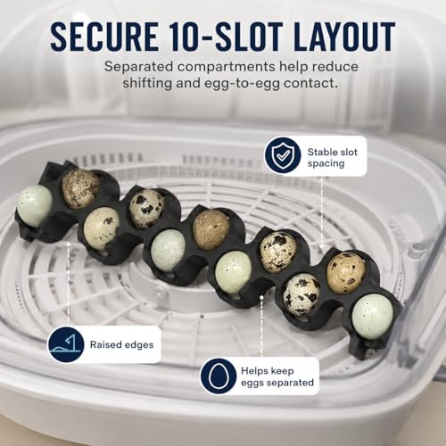 SplashNColor Jumbo Quail Egg Tray Compatible with Maticoopx 20 Egg Incubator - Coturnix Quail Egg Rack - Compatible with Small Egg Incubators - Durable Egg Turner Accessory - 10 Slots - White (1 Pack)