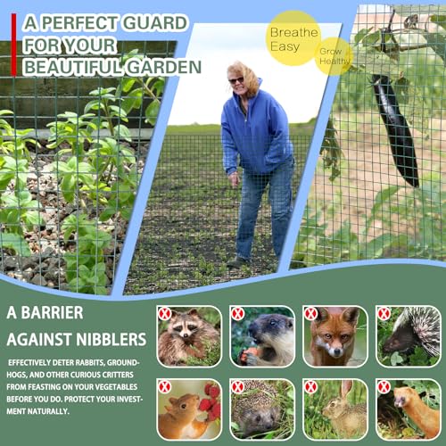 Hardware Cloth 1/2inx36inx100ft,Chicken Wire Fencing,Welded Wire Mesh, Vinyl PVC Coated Mesh,Coop Garden Plant for Rabbit,Snake,Rodent,Foxes,Raccoons Poultry Netting Cage Farm Protection - color: Green, size: 1/2in 36in×100ft