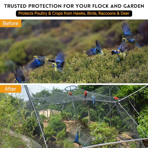 Heavy Knotted Poultry Netting for Chicken Run, 2" Mesh, 50x50 ft HDPE Chicken Coop Netting Cover, Hawk Netting for Chickens, Guards Poultry, Pets & Birds Against Raccoons & Predators - style: 50' x 50' - 2"