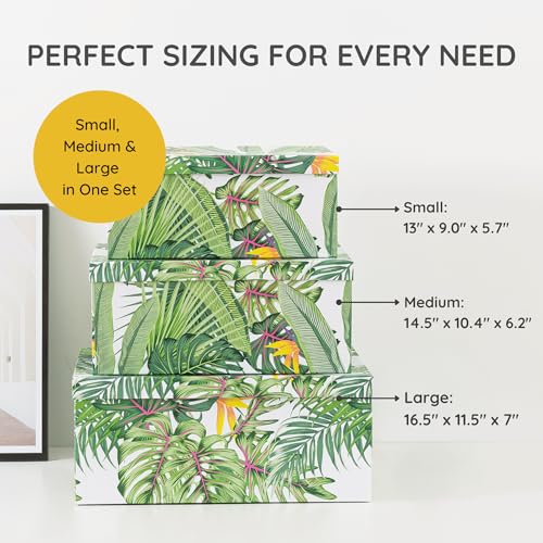 Soul & Lane - Tropical Breeze Decorative Storage Boxes with Lids, Set of 3 | Large Nesting Keepsake Boxes for Photos and Gifts, Green Jungle Leaves Palm Tree Containers, Hawaiian Beach Theme Decor - color: Tropical Breeze