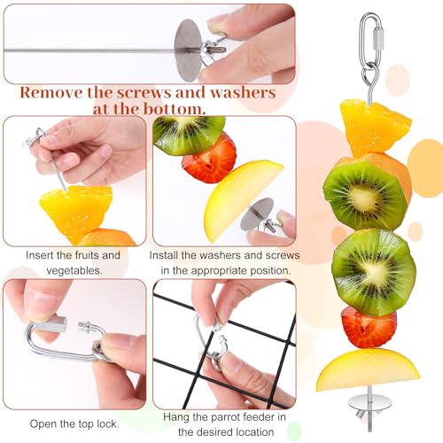 3PCS Bird Cage Food Holder with Hook, Stainless Steel Bird Feeder for Cage, Parrot Fruit Skewers, Birds Foraging Toys for Macaw Parakeet Parrot Budgie (3 Sizes)