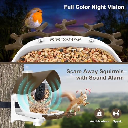 Smart Bird Feeder with Camera Solar Powered 2K HD Live Video with 32GB Card | AI Identifies 10,000+ Bird Species, Instant Alerts, IP65 Waterproof, Easy Setup, Bird Watching Gift for Bird Lovers - color: Brown