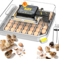 Egg Incubator 48 Eggs Automatic Egg Turning Chicken Incubators for Chicken, Ducks, Goose, Pigeon, Quail, Parrot Incubator for Farm - size: 48 eggs