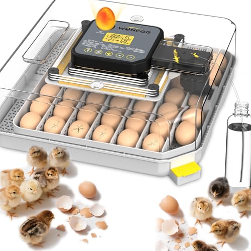 Egg Incubator 48 Eggs Automatic Egg Turning Chicken Incubators for Chicken, Ducks, Goose, Pigeon, Quail, Parrot Incubator for Farm - size: 48 eggs