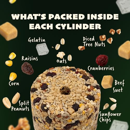 JCs Wildlife No Mess No Waste Fruit Blend Bird Seed Cylinder with Hole, Hull Free Wild Bird Food for Outside Feeders, Cardinals Woodpeckers Chickadees Nuthatches Wrens, Made in the USA, 2 lb Pack of 2 - size: 2 Pound (Pack of 2)