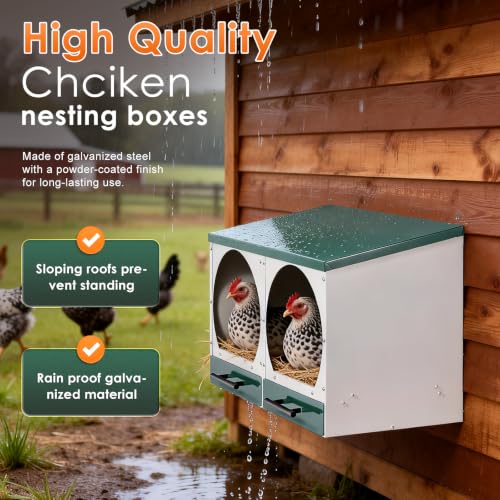 Chicken Nesting Box Roll Away Nest Boxes for Laying Hens 2 Compartments | Metal Nest Box for Chickens with Egg Collection Drawer & Lid Wall-Mounted Chicken Laying Boxes Perfect for Backyard and Farms