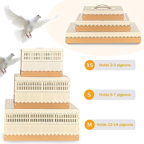 Folding Pigeon Cage Racing Pigeons Travel Cage Pairing Cage Plastic Three Doors Nest Box for Training and Release, Competition(L) - size: L