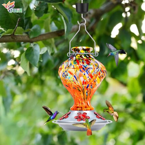 Glass Hummingbird Feeders for Outdoors Hanging with ant Moat, Orange | Hand Blown, 24oz, 5 Bee-Proof Ports, 360° Perch, Leak-Proof, Easy Refill & Clean, Garden Decor, Gifts for Mom Dad Women Men - color: Orange Fireworks