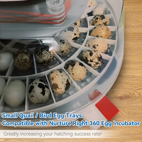 Enhon 48 Egg Tray Compatible with Nurture Right 360 Incubator, Plastic Egg Turner Tray Replacement for Hatching Small Quail Bird Chicken Goose Turkey, Hand Washable, Various Sizes