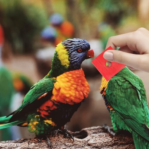 GANAZONO 100Pcs Parrot Wood Blocks Toys Wooden Blocks Bird Chewing Toy Bird Bite Toys Mini Wood Chips DIY Craft for Parrot Playing Chewing | 100Pcs Safe Bite Toy for Small Birds Teething Grinding Fun Mixed Colors for Cockatiels Parakeets and Conures
