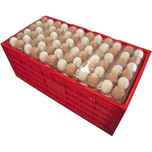 EGG TRAY CARTON TRANSPORT CRATE CHICKEN SHIPPING POULTRY CASE