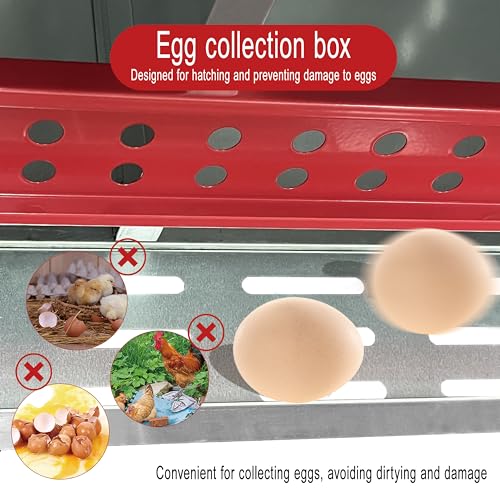 XINYI Chicken Nesting Boxes for Laying Eggs,Metal Coop for 4 Chickens,Roll Away Nesting Boxes,Easy Egg Collection,Brooder Box for Rabbit,Squirrel,Parakeet,Owl,Cockatiel,Robin - size: 4 Compartments