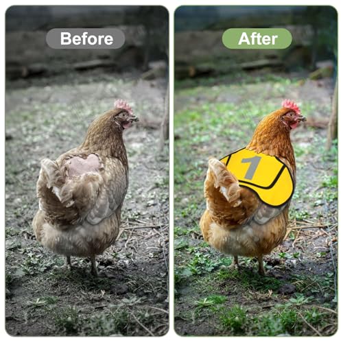 THREE ORANGES 3 Pack Chicken Saddles for Hens, Chicken Apron Back Protector with Adjustable Straps, Breathable Canvas Hen Saddles for Back and Feather Protection, Numbered Poultry Care Design