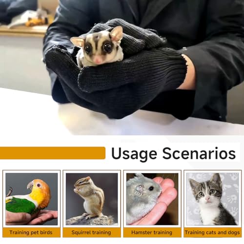 QBLEEV 1 Pair Bird Handling Anti-Bite Gloves, Small Animal Bite Proof Gloves for Training - color: Black