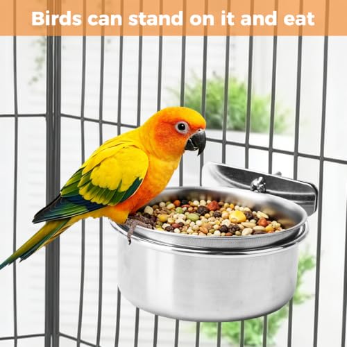 2 Pack Stainless Steel Bird Feeding Bowls, Parrot Food Water Dishes with Clamp Holder, Bird Feeding Cups for Cockatiel Budgie Parakeet Conure and Small Animals, 2 Feeding Spoons Included