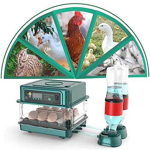 Automatic Egg Incubator, 12 Eggs,for Hatching Chicken Quail Bird Duck Eggs | 12-38 Eggs Capacity, Automatic Turner, Egg Candler, Intelligent Temperature Control - style: 12 EGGS
