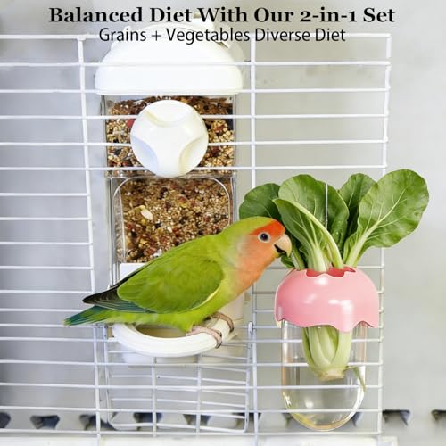 Automatic Bird Cage Feeder No Mess Bird Feeding Station Parrot Vegetable Holder Fruit Clips for Parakeet Cockatoo Canary Lovebirds Budgie (White) - color: White