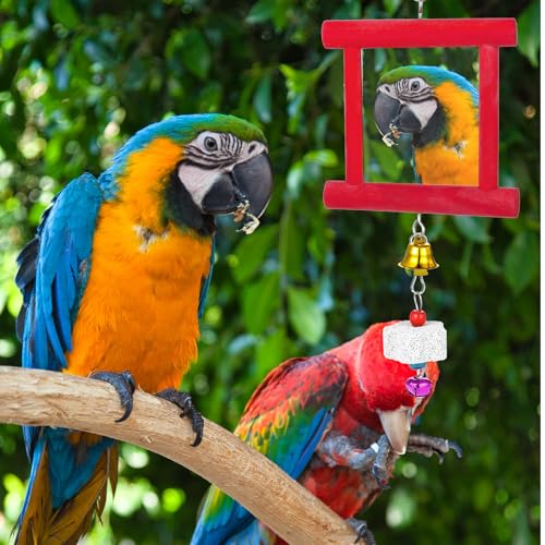 3 Packs Chicken Toys for Coop, Hen Chicken Coop Mirrors Bird Toy with Bells Hanging Parrot Grindstone Bird Beak Stones for Chicks Parrots Birds Hens - color: Red