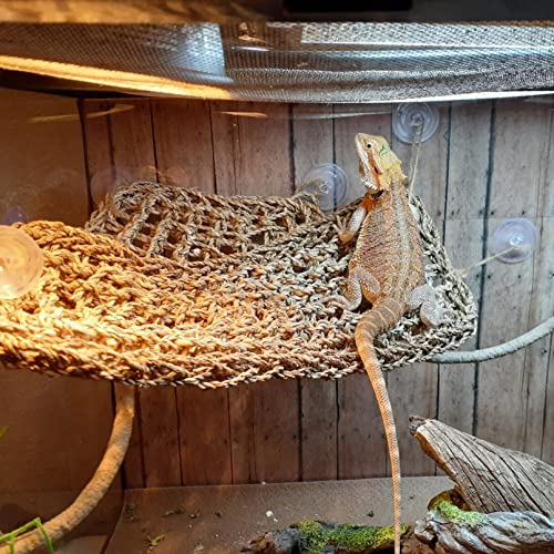 Reptile Hammock,Large Lizard Lounger,Bearded Dragon Tank Accessories Natural Seagrass Hammocks Hanging Flexible Climbing Vines Decoration for Gecko Snakes Chameleon(4 PCS)