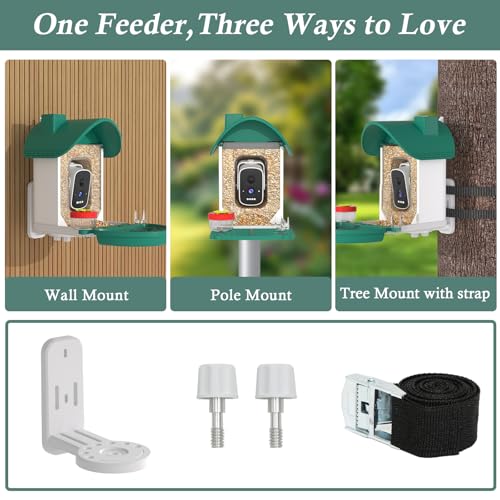 Bird Feeder with Camera, 3K Smart Bird Camera with AI Identification & Bird Bath, Solar Powered Wireless Outdoor Bird House with Spill-Proof Net, Ideal Backyard Bird Watching Gift to Bird Lovers - color: Dark Green