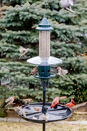 Squirrel Buster Plus Squirrel-proof Bird Feeder w/Cardinal Ring and 6 Feeding Ports, 5.1-pound Seed Capacity, Adjustable, Pole-mountable (POLE ADAPTOR SOLD SEPARATELY), Green | Cardinal ring, six ports, weight adjustment, pole-mountable, adapter sold sepa