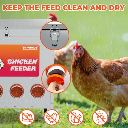 6 Port Automatic Chicken Feeder, No Waste Poultry Feeder with Lid | 85 LBS Large Gravity, Weatherproof Lid, Locking Latch, Convenient Handle, Heavy Duty Automatic Metal Chicken Feeder - size: 6 Ports (85-120 LBS)
