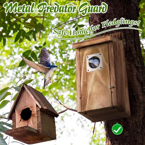 Dreyoo 2 Pack Bluebird Box Houses for Outside,1-1/2'' Entrance Hole Wooden Bird Houses with Metal Guard, Secure Latch,Fledgling Grooves,Air Vents for Bluebird Wren Swallow(Burnt Wood) - color: Burnt Wood
