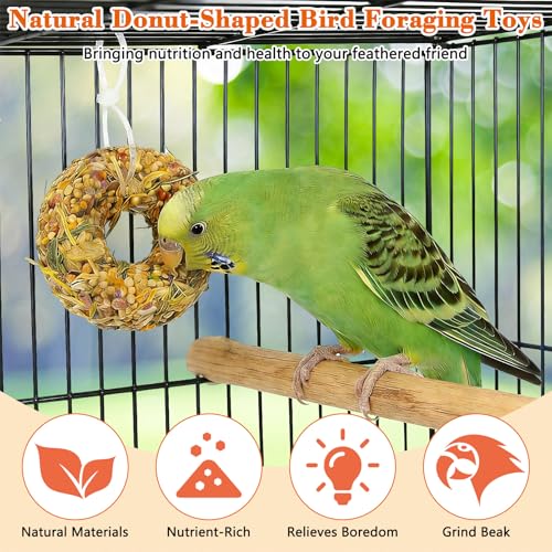 Fhiny 8 PCS Parakeet Treats, Donut Shaped Natural Grain Cockatiel Food with Fruits Vegetables Flowers and Herbs Bird Chew Toys for Parrot Conure Lovebird Training Rewards and Beak Grinding