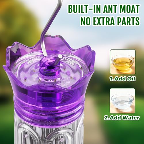 Birdream 10oz Hummingbird Feeders for Outdoors, Plastic Hummingbird Feeder with 5 Bee Guard Feeding Ports & Cleaning Brush, Gift Box Design, Leak Proof, Built-in Ant Moat, Purple - color: Purple, size: 1 Pack