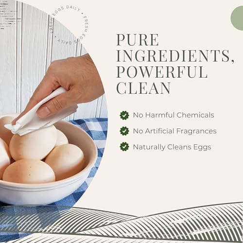 Fresh Eggs Daily Egg Wipes – Enzyme-Based Egg Cleaner for Backyard Chickens, No Rinse Needed, Natural Enzyme Formula - Natural Cleaning Wipes (2-Pack) - size: 40 Count (Pack of 2)