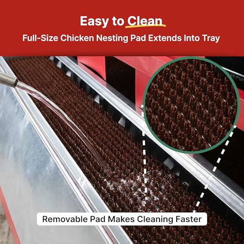 HenGear Nesting Pads, Astroturf NXT v5.2, Washable and Reusable, Small | Nesting Pads for Chicken Coop, Durable AstroTurf Nest Pad Material for Clean Egg Collection, Comfortable Laying Surface - size: Small