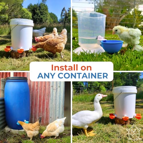 Lil'Clucker Large Automatic Chicken Waterer Cups | Chicken Water Feeder Suitable for Chicks, Duck, Goose, Turkey and Bunny | Poultry Water Feeder Kit (Orange, 12-Pack) - size: 12-Pack